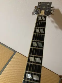 GIBSON DOVE 78 VINTAGE ACOUSTIC CASE INCLUDED SAFE DELIVERY FROM JAPAN