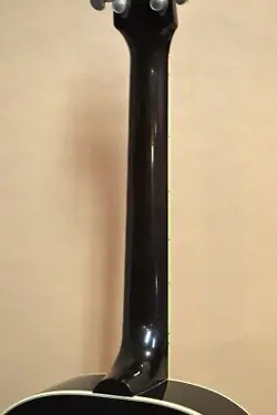 GIBSON SOUTHERN JUMBO 2010
