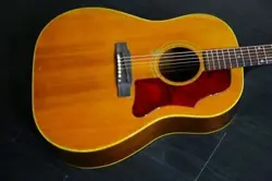 JACARANDA FINGERBOARD JACARANDA