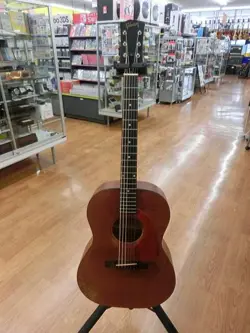 ACOUSTIC LG-0