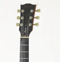 PAUL STUDIO SWAMP