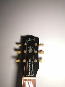 GIBSON HUMMINGBIRD SAFE