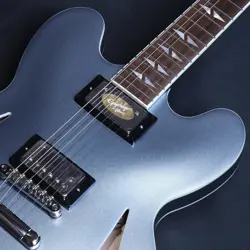 DAVE GROHL DG-335