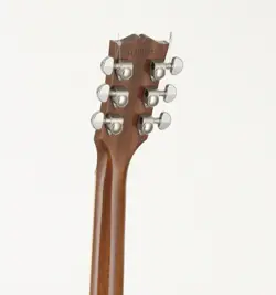 ES-335 TRADITIONAL 2018