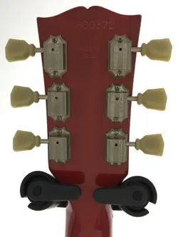 WITH GIG CASE