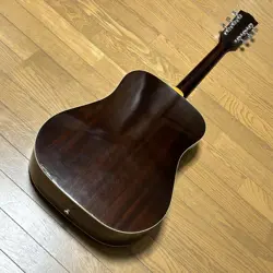 GUITAR WITH SOFT