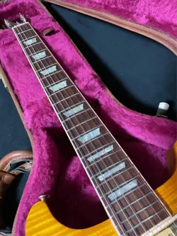 CUTAWAY PLUS TRANS