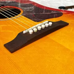 SOLID SPRUCE