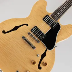 NATURAL 2007 ELECTRIC