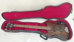 DEFECTIVE PICKUP ISSUES