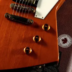 LIMITED EDITION 2001