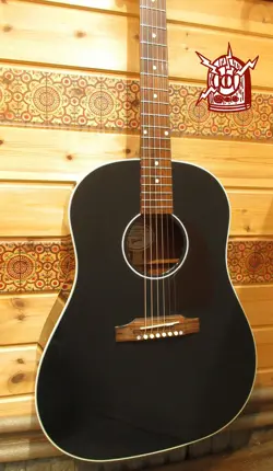 EBONY GLOSS 2023NO250403