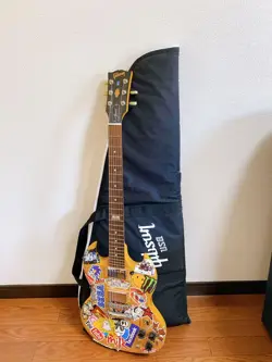 INSTRUMENTS STRINGED SAFE