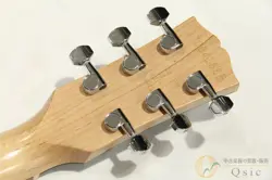 SG FUSION
