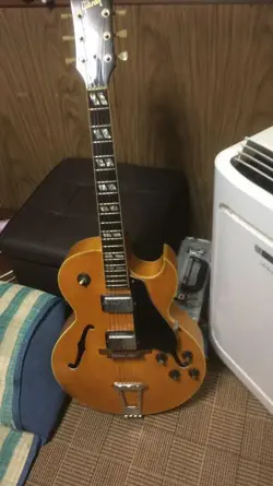 GIBSON ES-175 1976