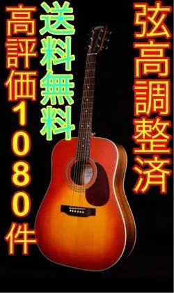 ACOUSTIC GUITAR STAFFORDSF3D