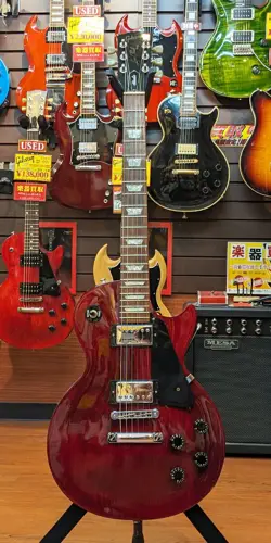 2004 NO.RG3257