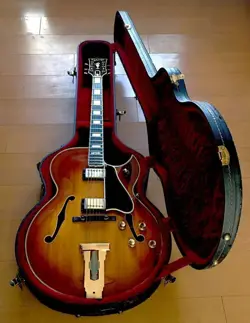 CUTAWAY/GIBSON/HOLLOW BODY/ARCH TOP//VEST