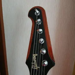 FIREBIRD SUNBURST 2013