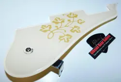 PAUL PICKGUARD