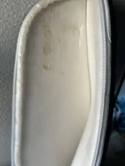 WORN EBONY 2019