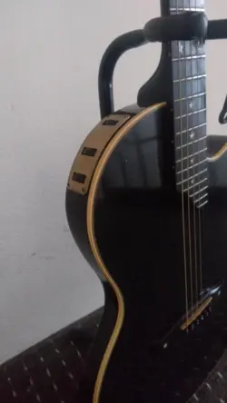 GIBSON SST CHET ATKINS MODEL GUITAR SHIELD #PG9W06