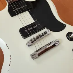 SG SPECIAL 2011