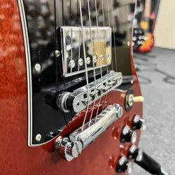 W/GIG BAG ELECTRIC