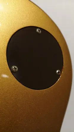 DOUBLE GOLD ELECTRIC