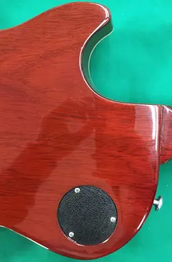 STANDARD PLUS ELECTRIC
