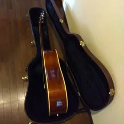 GIBSON HARD CASE
