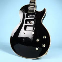HUSK GUITAR BODY