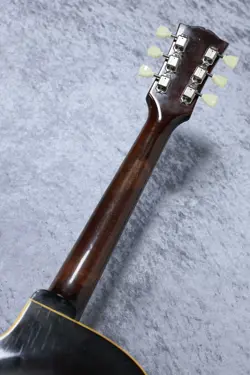 ES-175D SUNBURST 1968