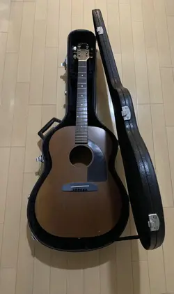 ACOUSTIC GUITAR LG