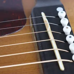 2010 ACOUSTIC