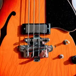 GIBSON ELECTRIC BASS EB-2D SUNBURST SAFE DELIVERY FROM JAPAN