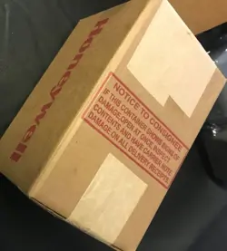 BURNER DETECTOR EXPEDITED
