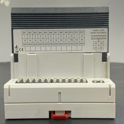 MODULE 24V