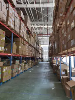 EXPEDITED SHIPPING 1-YEAR