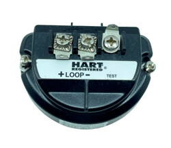 LOOP TRANSMITTER