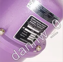 DETECTOR FREE FAST