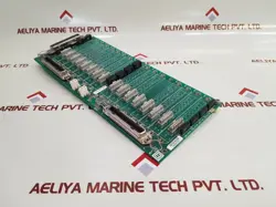51304718-175 HLAI/STI
