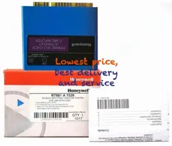 COMBUSTION CONTROLLER FLAME