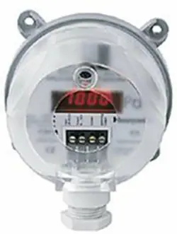 DPTM50