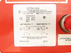 PULL SAFETY SWITCH