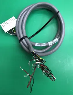 LV RTP