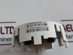 50065674
