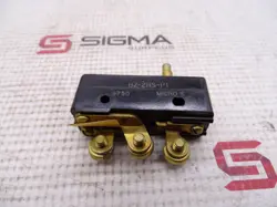 BZ-2RS-P1 SWITCH