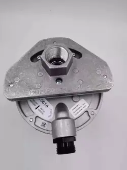 DETECTOR FAST