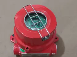 NEW ONE FS20X-211-21-2 FLAME DETECTOR FS20X-211-21-2